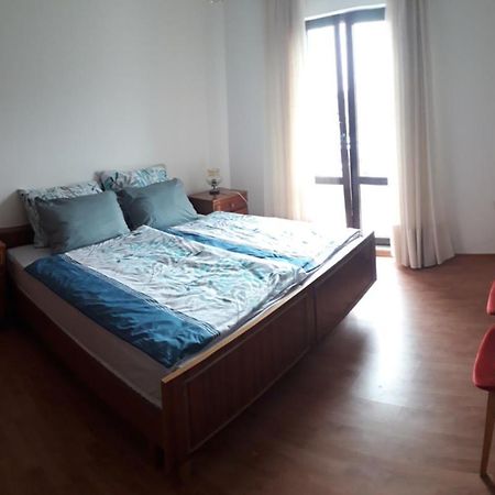 Ferienwohnung Vidin Raj Vremski Britof Exterior foto