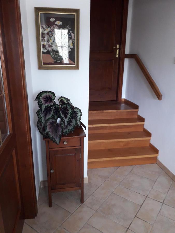 Ferienwohnung Vidin Raj Vremski Britof Exterior foto