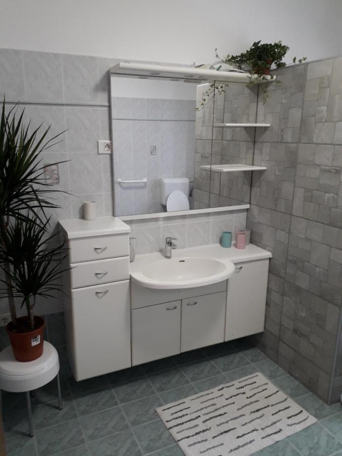 Ferienwohnung Vidin Raj Vremski Britof Exterior foto