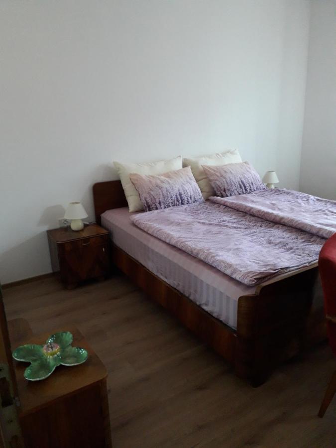 Ferienwohnung Vidin Raj Vremski Britof Exterior foto