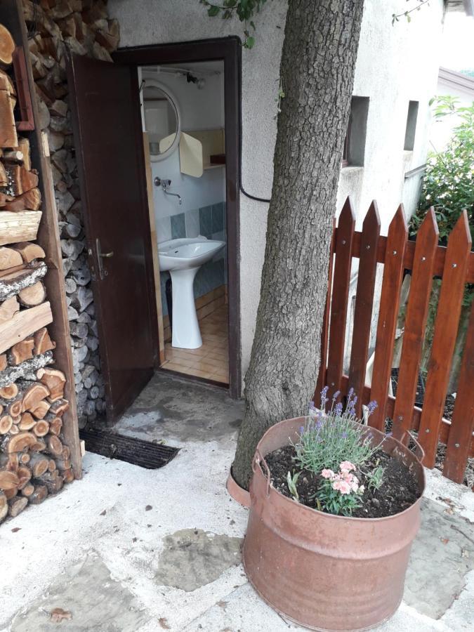 Ferienwohnung Vidin Raj Vremski Britof Exterior foto