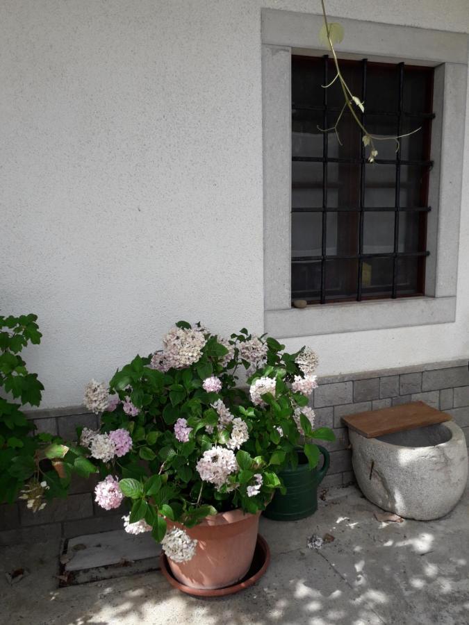 Ferienwohnung Vidin Raj Vremski Britof Exterior foto